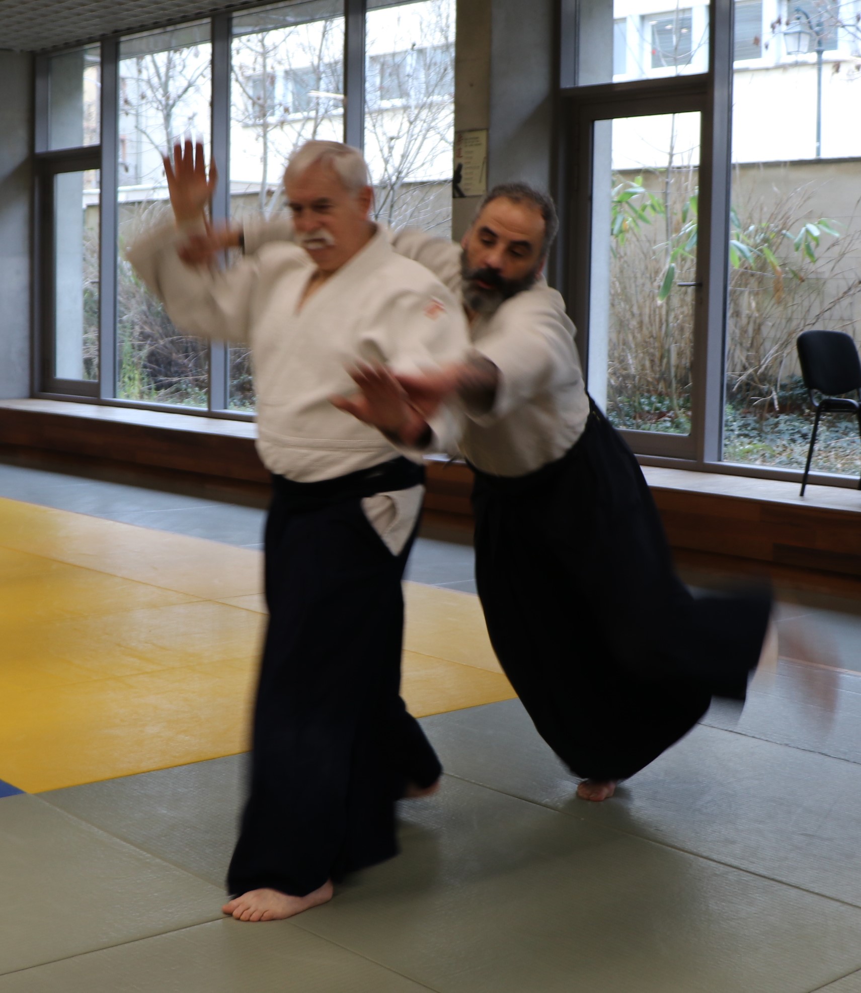 Réflexions sur Ushiro Waza par Jean-Marc Chamot