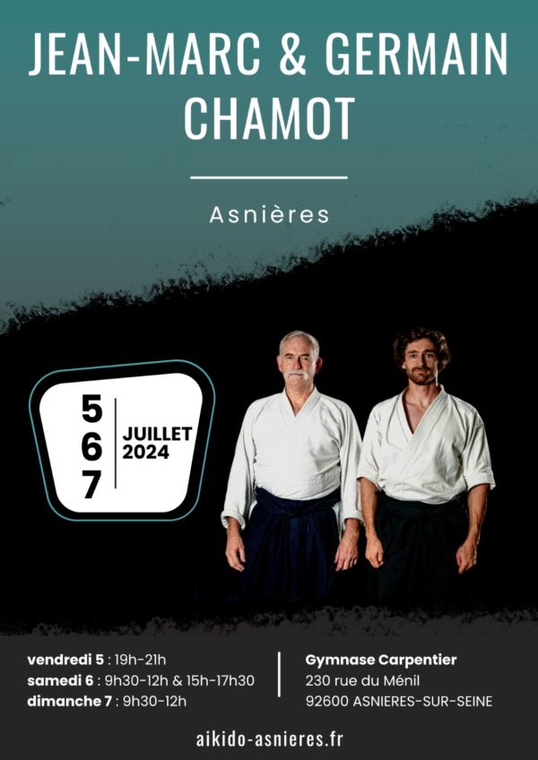 Affiche de l'événement stage stage de juillet a asnieres sur 160
